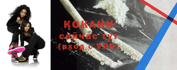 PSILOCYBIN Струнино