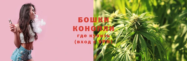 шишки Волосово