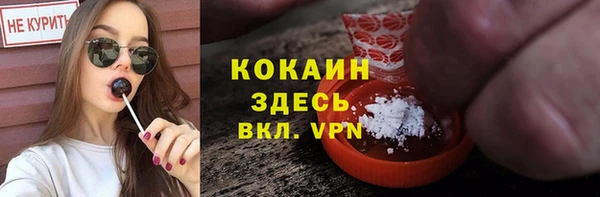 стафф Володарск