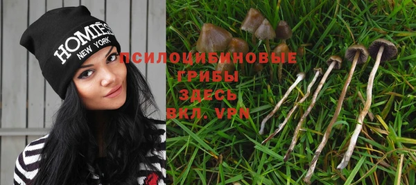 стафф Володарск