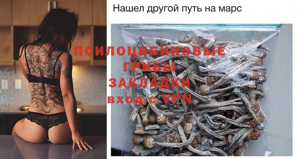 шишки Волосово