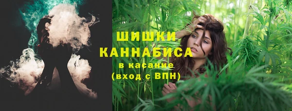 МДПВ Горно-Алтайск