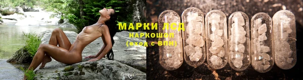 марки lsd Горняк