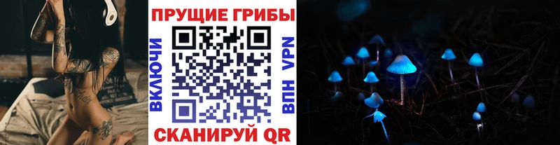 Псилоцибиновые грибы GOLDEN TEACHER  MEGA вход  Ельня  дарнет шоп 